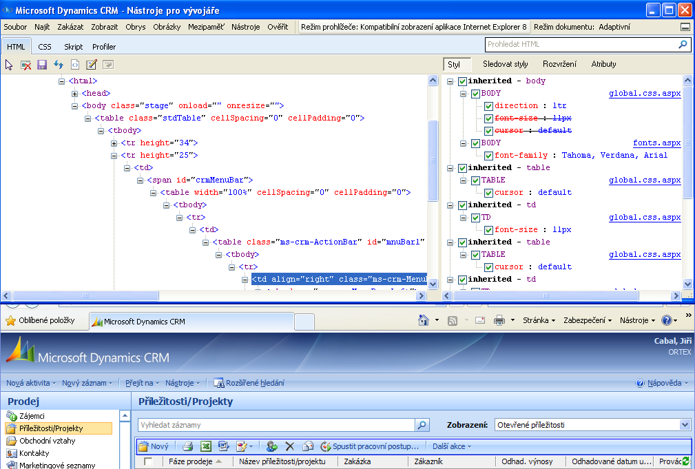 IE8 Developer Tools - styly